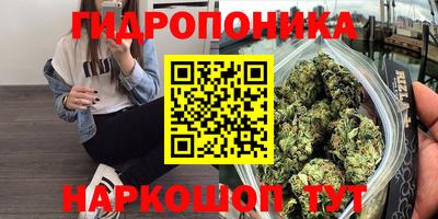ГАЛЛЮЦИНОГЕННЫЕ ГРИБЫ Новокубанск