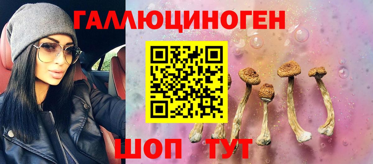 Солнечногорск  Галлюциногенные грибы Psilocybine cubensis  Псилоцибиновые грибы ЛСД  Вход с VPN 